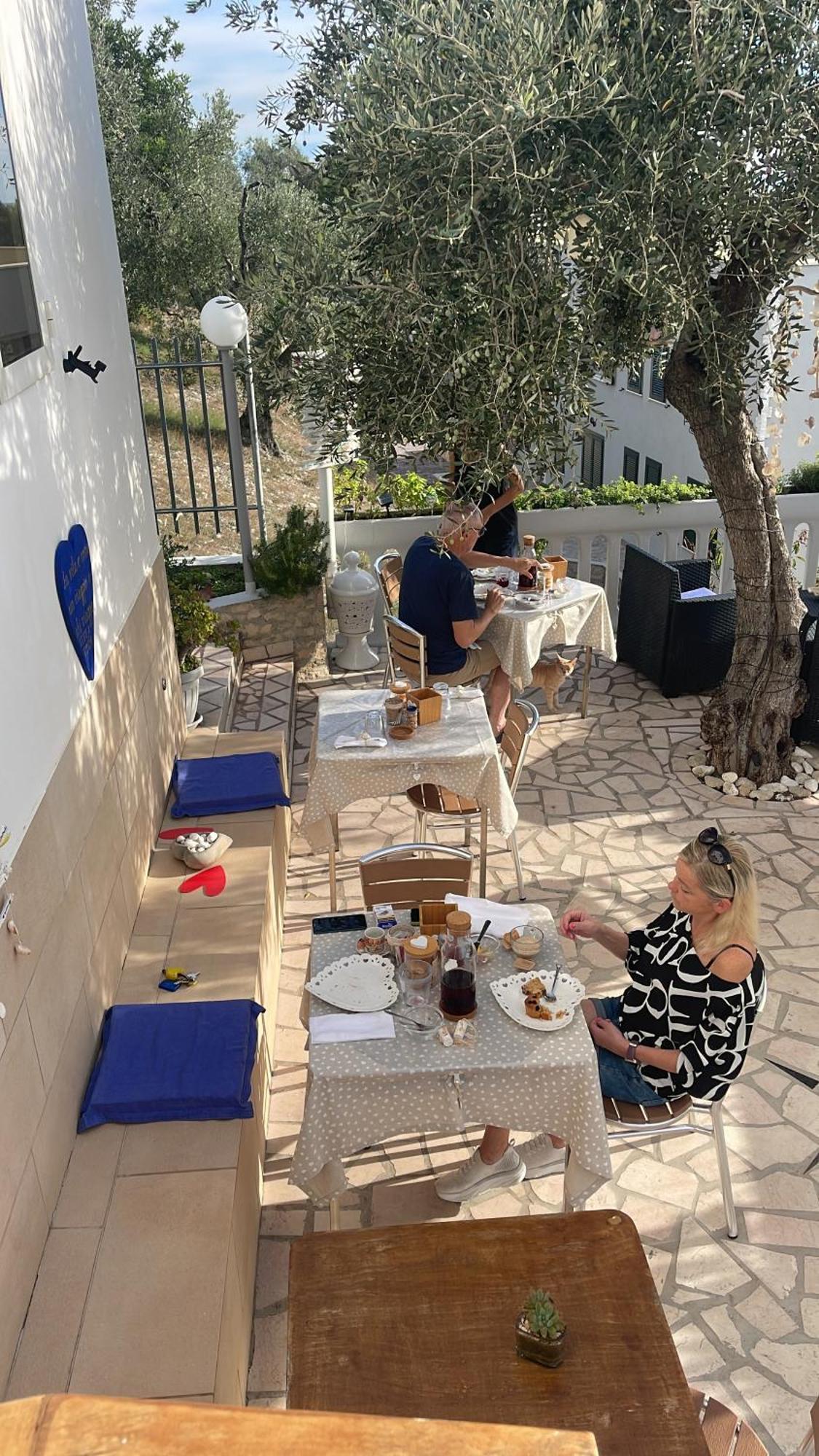 B&B Il Giardino Stellato Vieste Eksteriør billede