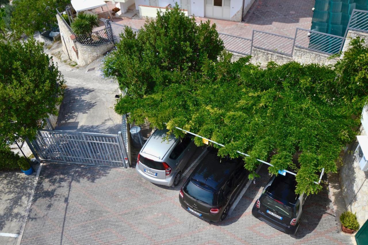 B&B Il Giardino Stellato Vieste Eksteriør billede